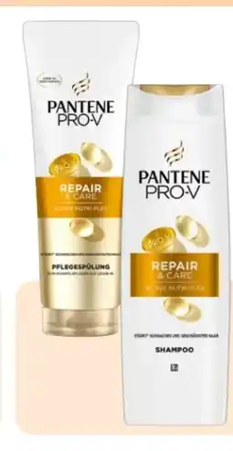 Rossmann Pantene Pro-V Shampoo Angebot