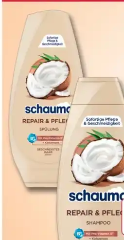 Rossmann Schwarzkopf Schauma Shampoo Angebot