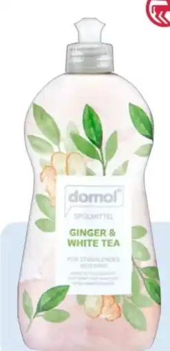 Rossmann Domol Spülmittel Angebot