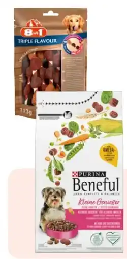 Rossmann Purina Beneful Hunde Trockennahrung Angebot