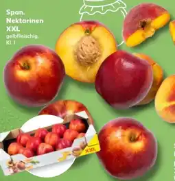 Kaufland Span. Nektarinen XXL Angebot