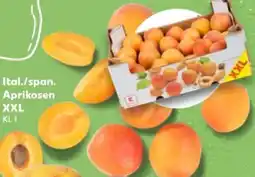 Kaufland Ital./span. Aprikosen XXL Angebot