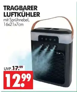 Wreesmann Tragbarer luftkühler Angebot