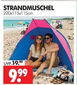 Wreesmann Strandmuschel Angebot