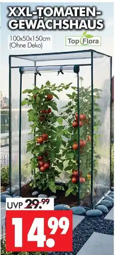 Wreesmann Top flora xxl-tomaten-gewächshaus Angebot