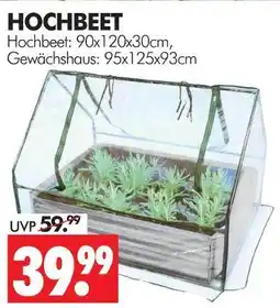 Wreesmann Hochbeet Angebot