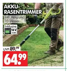 Wreesmann Akku-rasentrimmer Angebot