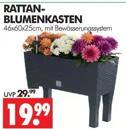 Wreesmann Rattan-blumenkasten Angebot