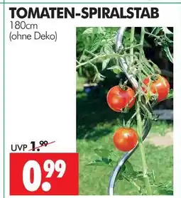 Wreesmann Tomaten-spiralstab Angebot