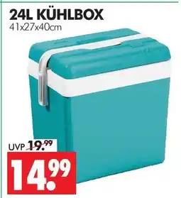Wreesmann Kühlbox Angebot