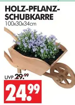 Wreesmann Holz-pflanz-schubkarre Angebot