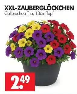 Wreesmann Xxl-zauberglöckchen Angebot
