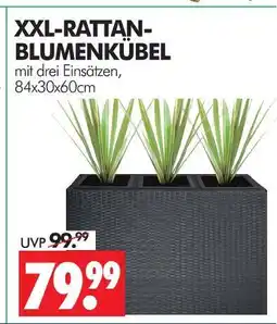 Wreesmann Xxl-rattan-blumenkübel Angebot