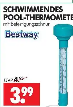 Wreesmann Bestway schwimmendes pool-thermometer Angebot