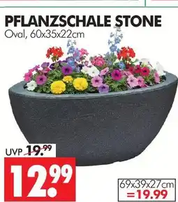 Wreesmann Pflanzschale stone Angebot