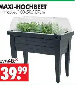 Wreesmann Maxi-hochbeet Angebot