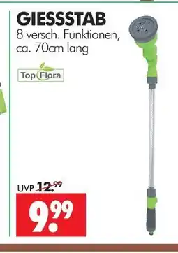 Wreesmann Top flora giessstab Angebot