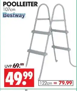 Wreesmann Bestway poolleiter Angebot