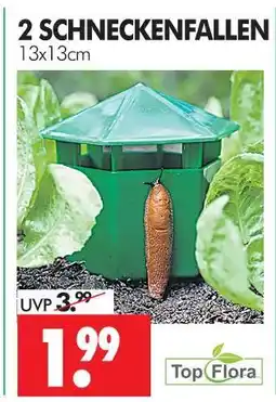 Wreesmann Topflora schneckenfallen Angebot
