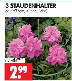 Wreesmann Staudenhalter Angebot