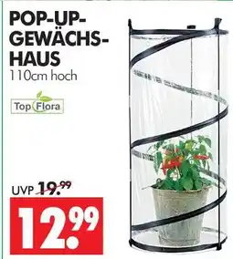 Wreesmann Top flora pop-up-gewächs-haus Angebot