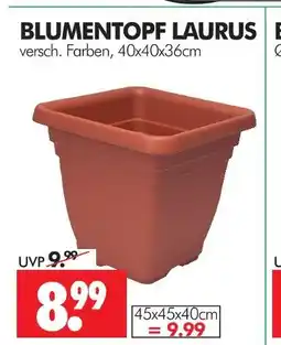 Wreesmann Blumentopf laurus Angebot