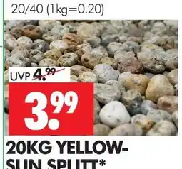 Wreesmann Yellow-sun splitt Angebot