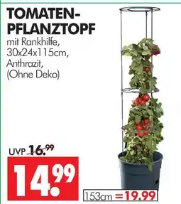 Wreesmann Tomaten-pflanztopf Angebot