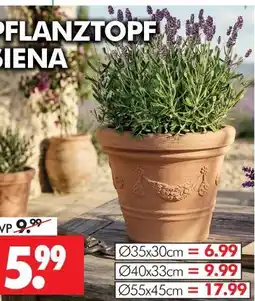Wreesmann Pflanztopf siena Angebot