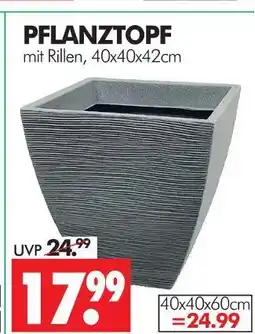 Wreesmann Pflanztopf Angebot