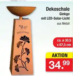 Zimmermann Dekoschale ginkgo Angebot