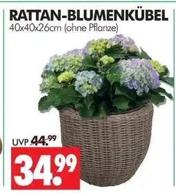 Wreesmann Rattan-blumenkübel Angebot