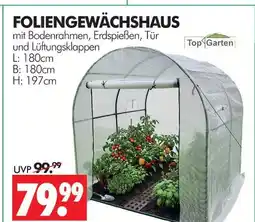 Wreesmann Topgarden foliengewächshaus Angebot