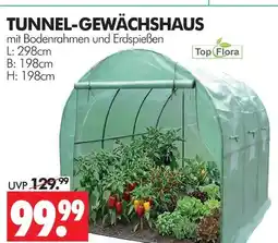Wreesmann Top flora tunnel-gewächshaus Angebot