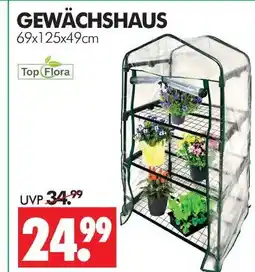 Wreesmann Top flora gewächshaus Angebot