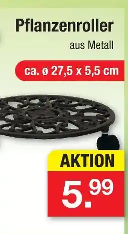Zimmermann Pflanzenroller Angebot