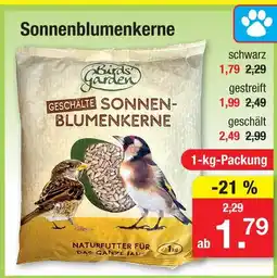 Zimmermann Birds garden sonnenblumenkerne Angebot