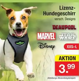Zimmermann Lizenz-hundegeschirr Angebot