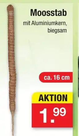 Zimmermann Moosstab Angebot