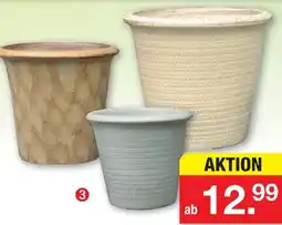 Zimmermann Übertopf patricia serie Angebot
