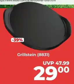 Hirsch und Ille Weber grillstein Angebot