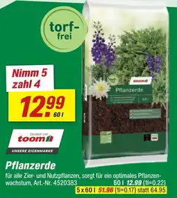 toom Baumarkt Toom pflanzerde Angebot