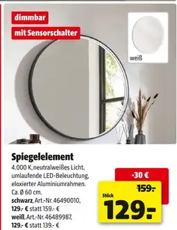 Hagebau Spiegelelement schwarz Angebot