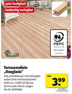 Hagebau Mr. gardener terrassendiele „douglasie“ Angebot