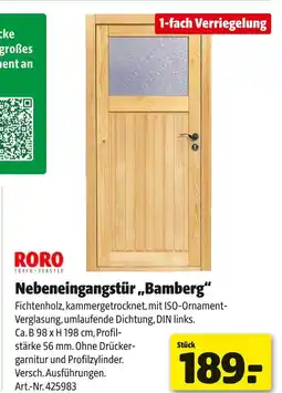 Hagebau Roro nebeneingangstür „bamberg“ Angebot