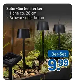 Rossmann Solar-gartenstecker schwarz Angebot