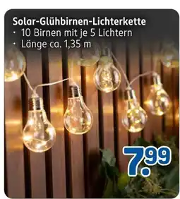 Rossmann Solar-glühbirnen-lichterkette Angebot