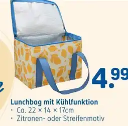 Rossmann Lunchbag mit kühlfunktion Angebot