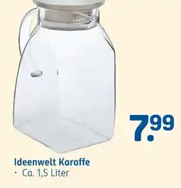 Rossmann Ideenwelt karaffe Angebot