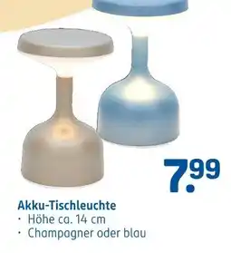 Rossmann Ideenwelt akku-tischleuchte Angebot
